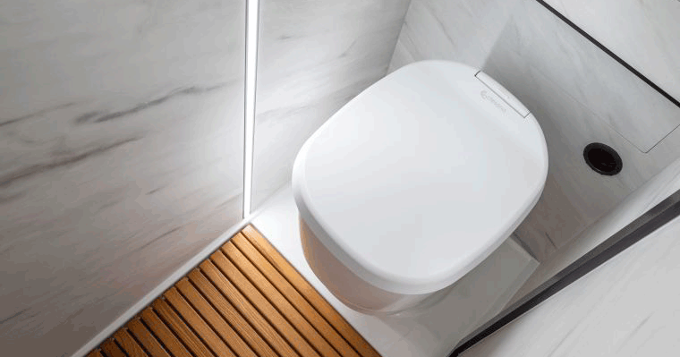 Clesana C1 Verschweißtoilette